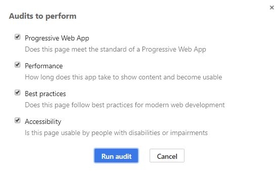 Audit Options for Lighthouse.